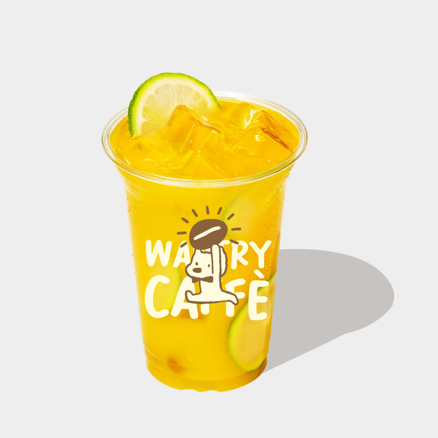 Fresh Orange Jasmine Green Tea